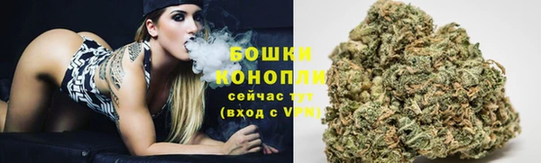 гашик Белоозёрский