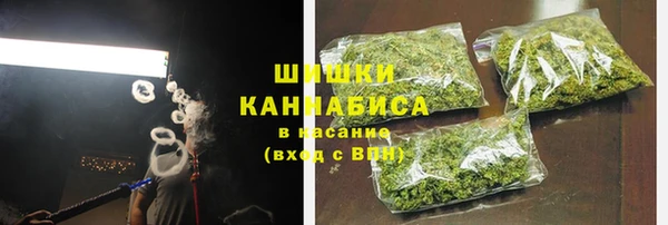 прущие крисы Белокуриха