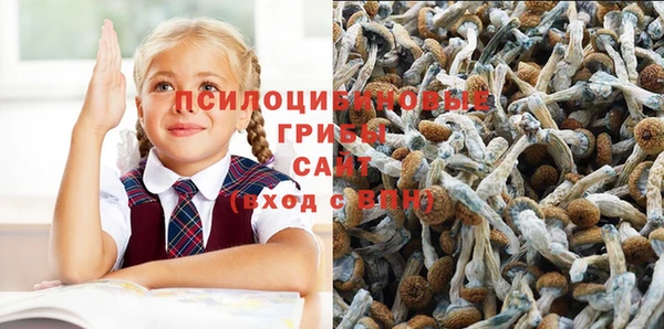 гашик Белоозёрский