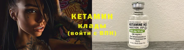 прущие крисы Белокуриха