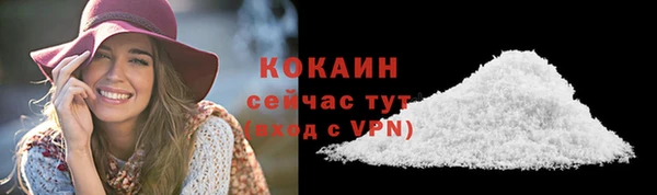 прущие крисы Белокуриха